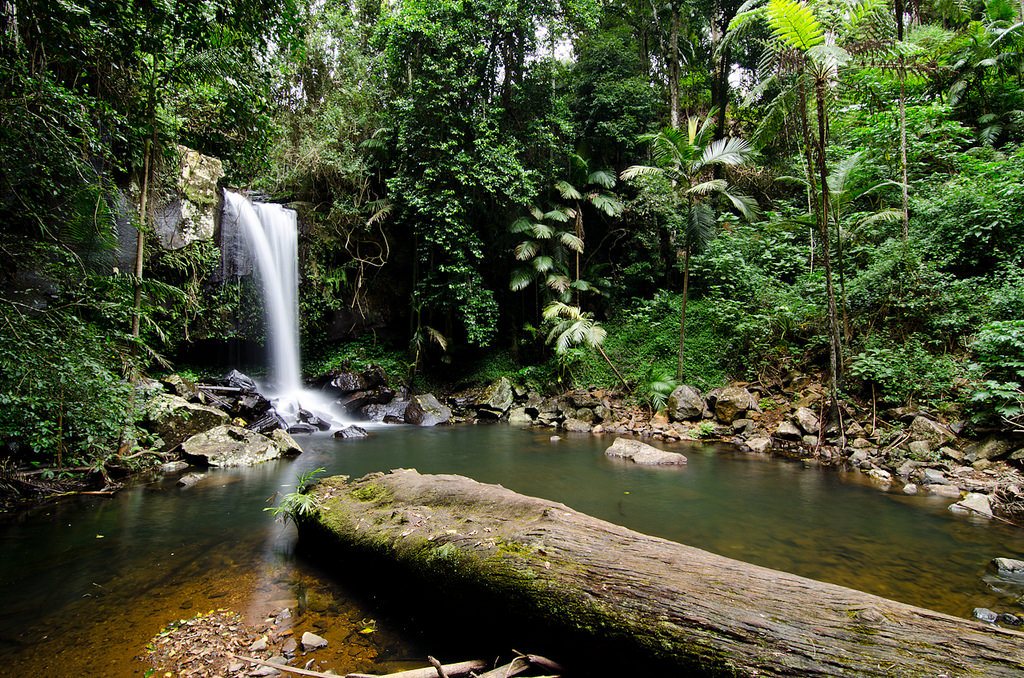 rainforest travel photos