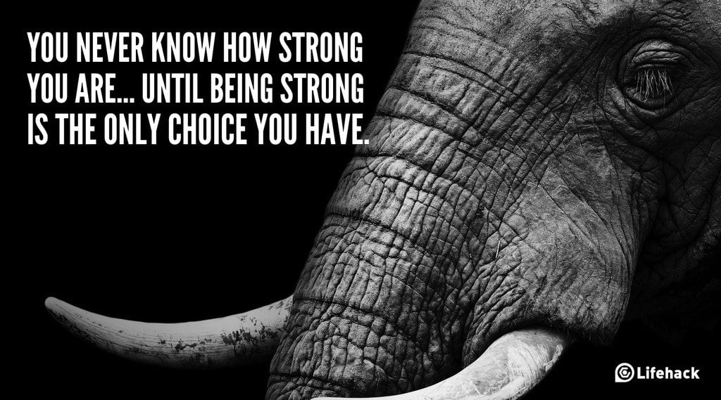 You never know how strong you are… until being strong is the only choice you have.