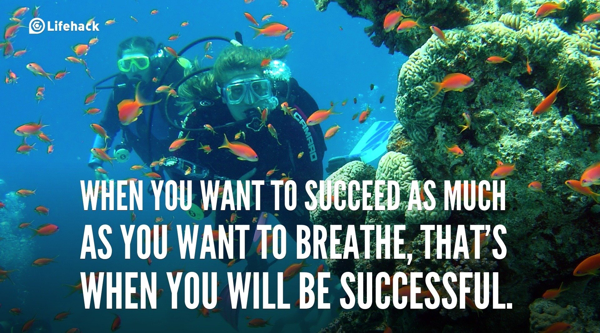 When you want to succeed as much as you want to breathe