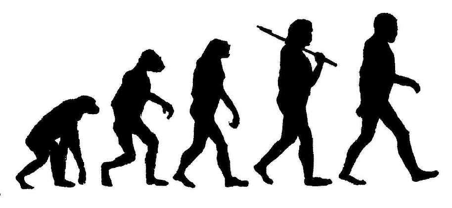 Darwin's theory of evolution
