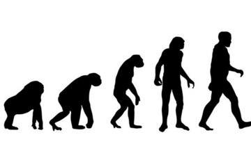human-evolution-1
