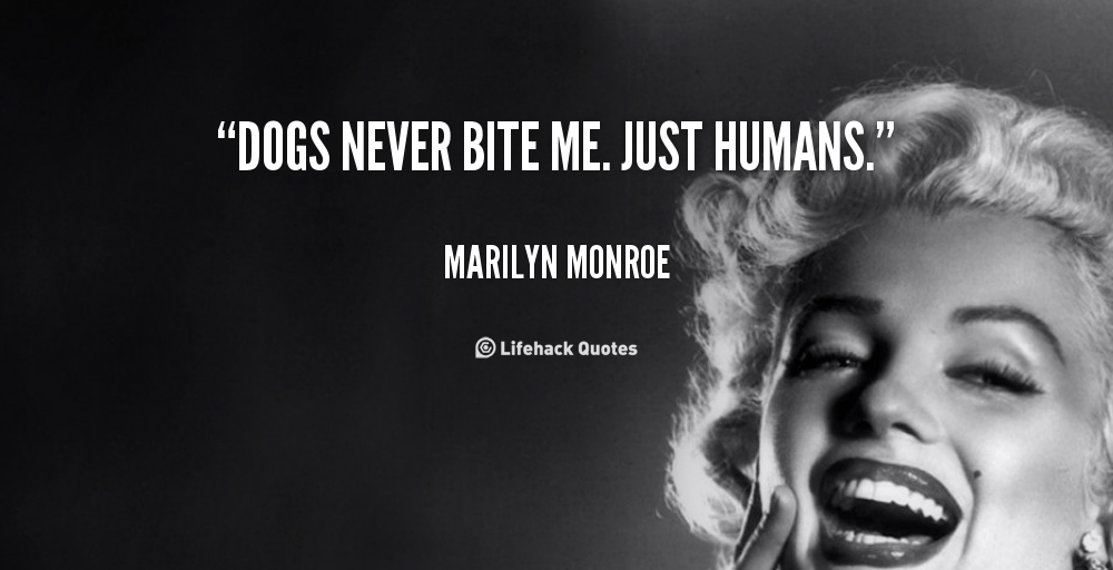 Daily Quote: Dogs Never Bite Me