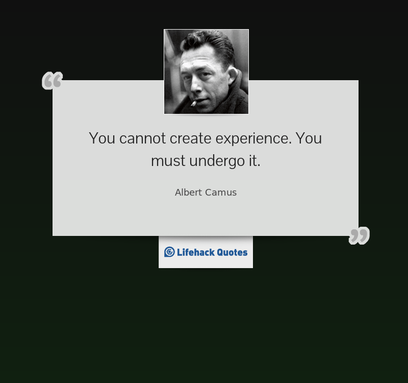 you-cannot-create-experience-you-must-undergo