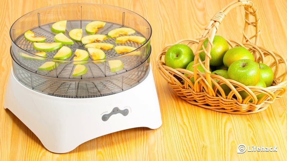 Which Dehydrator Is The Best For You?