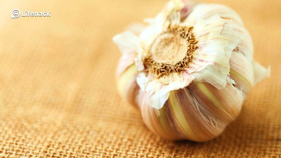 How to Peel a Head of Garlic in 10sec Flat!