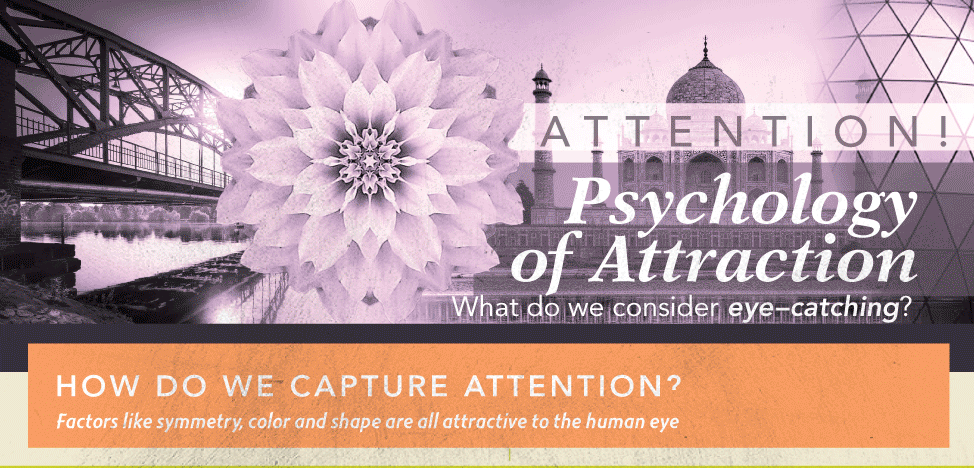 The Psychology of Visual Attraction