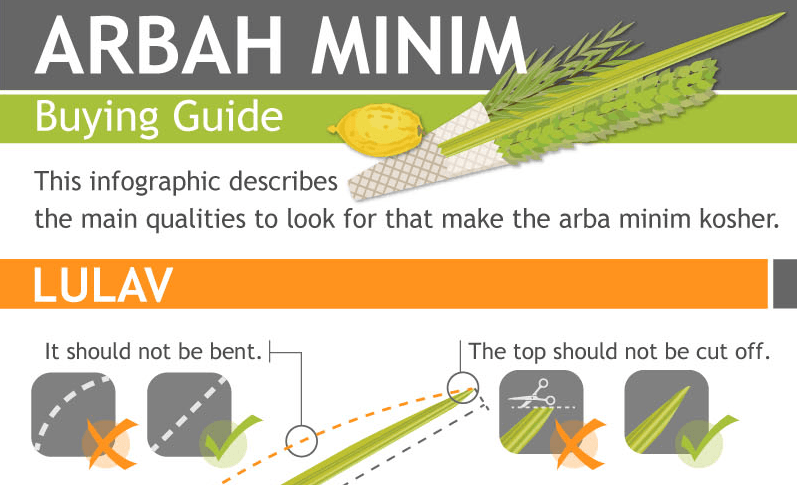 How to Buy A Good Arbah Minim