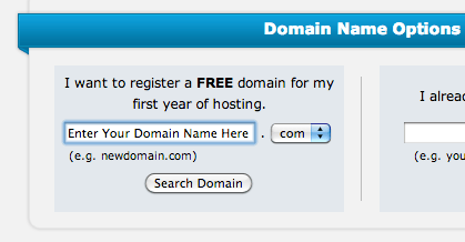 domain name options