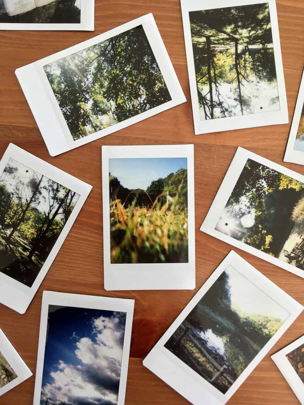 polaroid photos of nature on brown wooden table