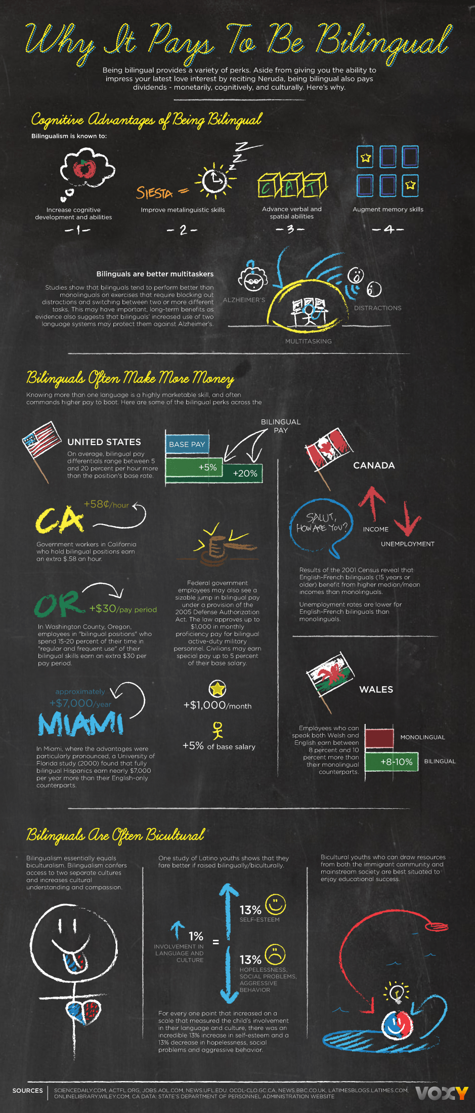 voxy-bilingual-infographic