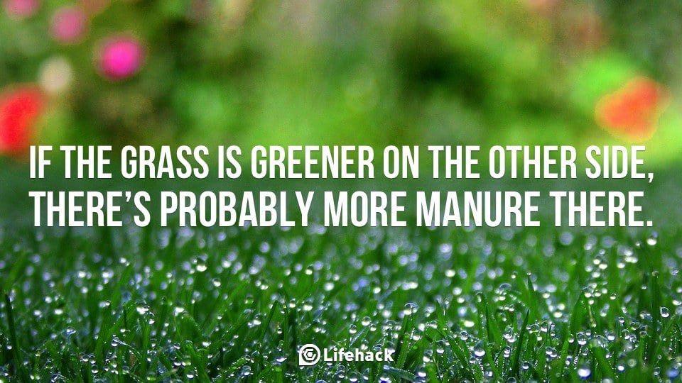 Is The Grass Greener on the other Side?