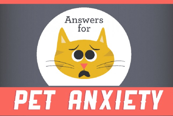 Common Reasons For Pet Anxiety