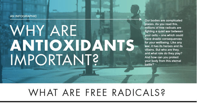 Why Are Antioxidants So Important?