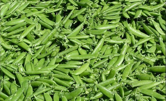 Green beans vegetables