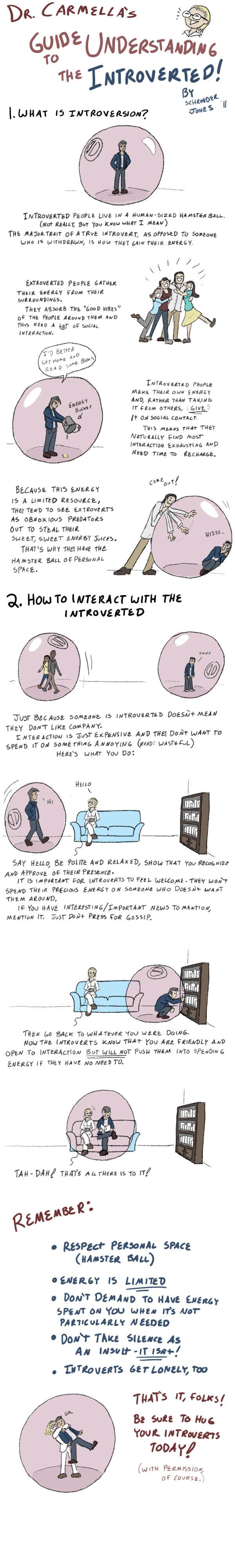how_to_live_with_introverts_by_schrojones