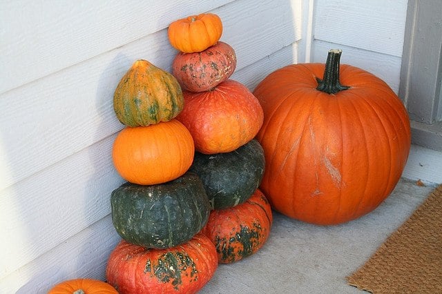 pumpkins of different sizes and colors stacked atop one another