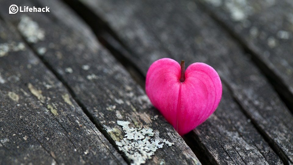 5 Ways To Help Heal A Broken Heart