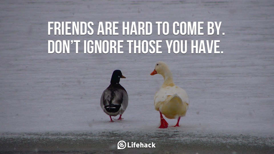 Friends are Hard to Come By