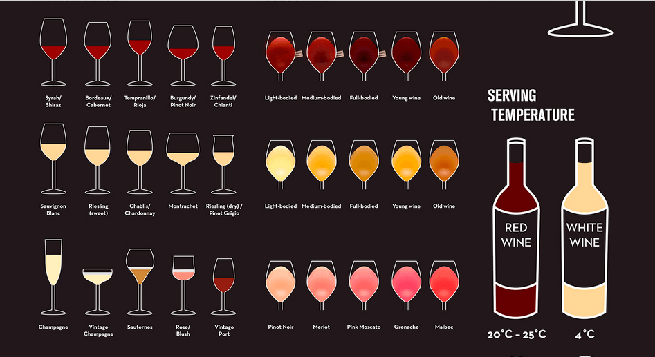A Beginner&#8217;s Guide to Wine