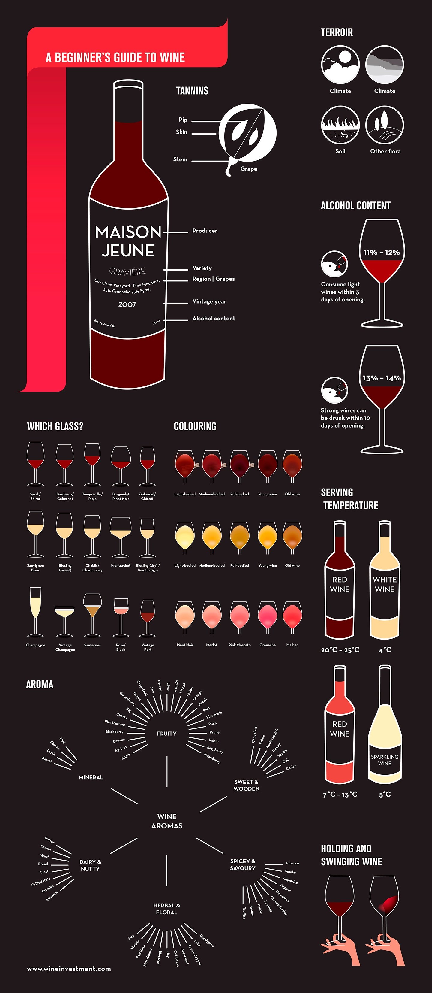 beginners-guide-to-wine
