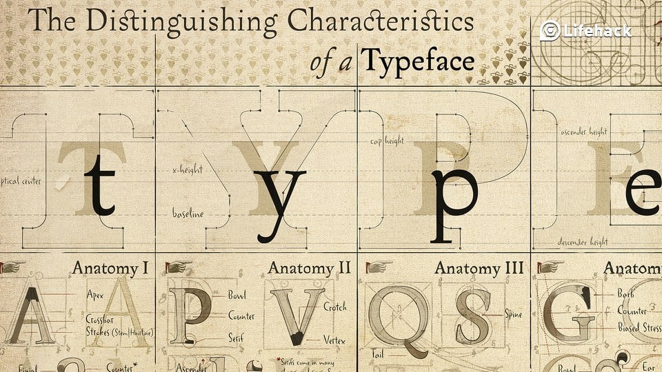 How to Get Really Good at Typography in One Month