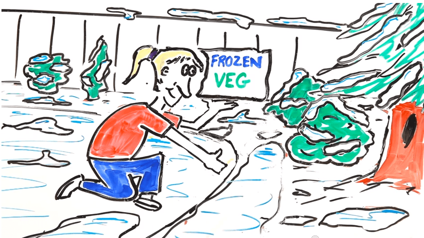 Fresh Vs. Frozen Food, Which Is Healthier?
