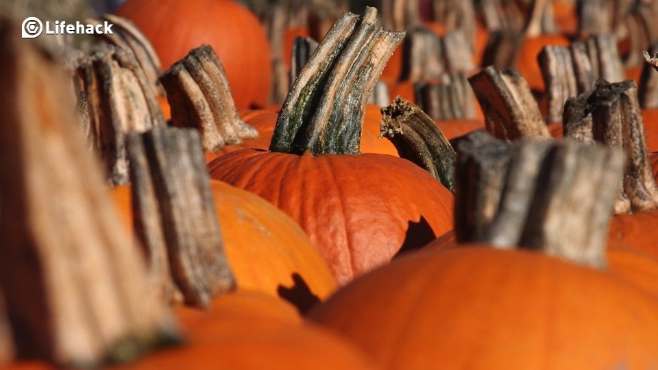 8 Benefits Of Pumpkins You Didn’t Know About