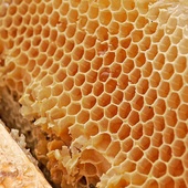 image representing honey helps to reduce symptoms of low testosterone