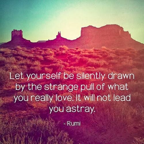 Let Yourself Be Silently Drawn By The Strange Pull Of What You Really Love