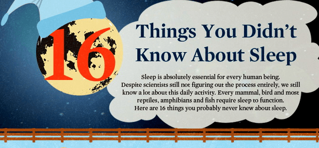 16 Amazing Facts About Sleep That Will Surely Impress You