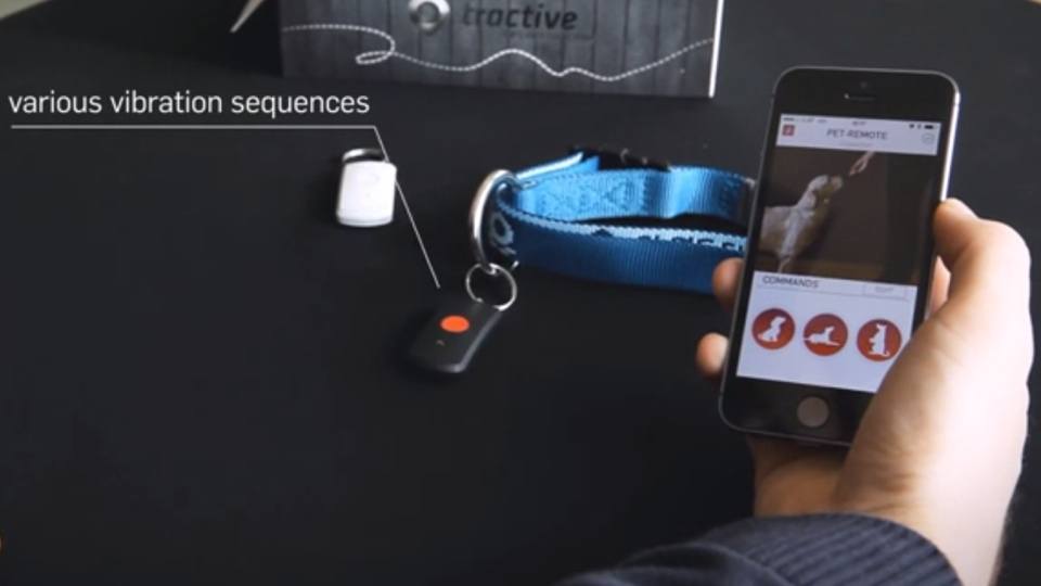 With Pet-Remote You Can Control Your Dog With Your iPhone