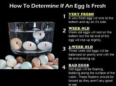 Testing for stale eggs