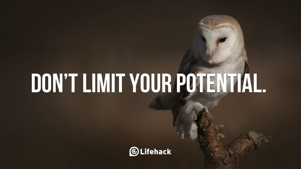 Don’t Limit Your Potential