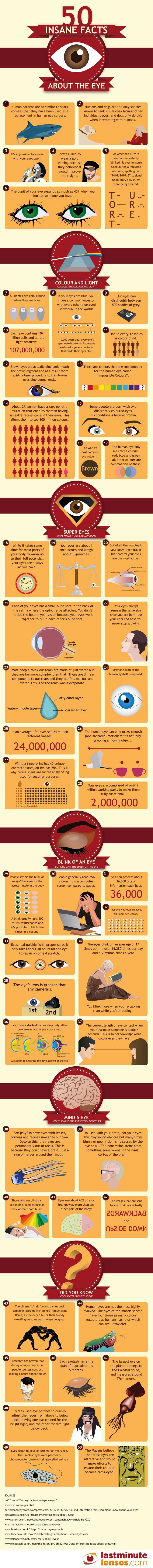 50 Amazing Facts About the Eye Infographic