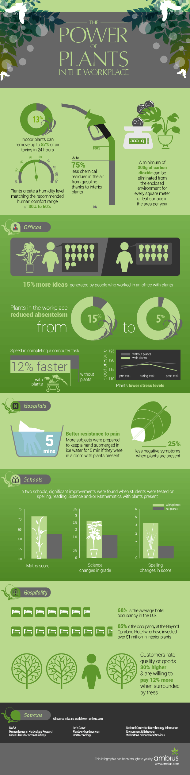 The Power of Plants in the Workplace Infographic