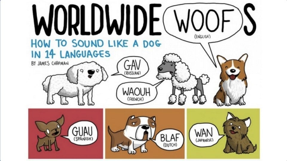 You Surely Have Never Imagined the Sounds Animals Make in Different Languages Are Like This