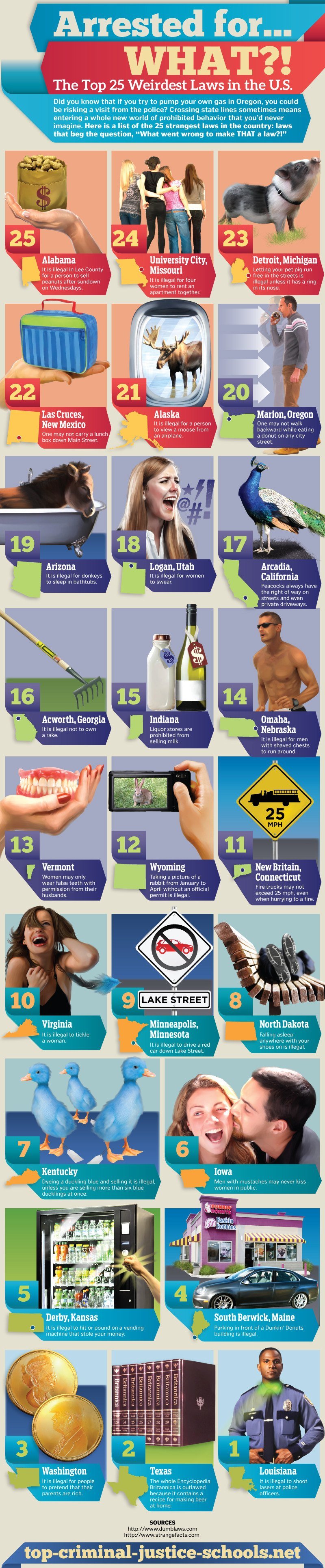 The Top 25 Weirdest Laws in the US Infographic