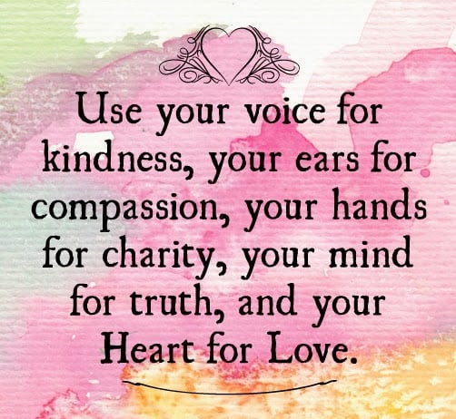 Use You Voice, Ears, Hands, Mind and Heart For…