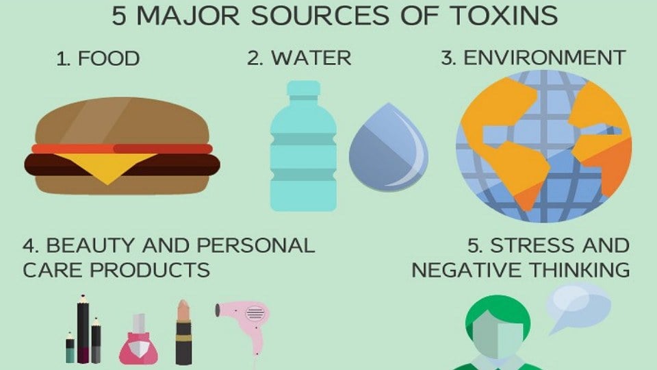 toxins in the body detox