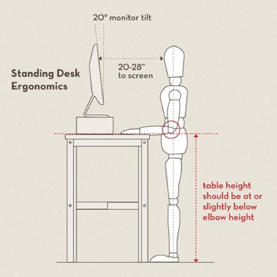 stand Desk infographic_10