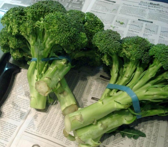 Broccoli pickles