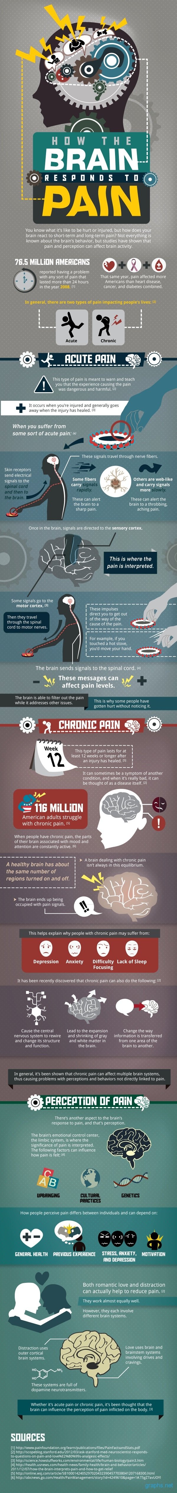brain reacts to pain