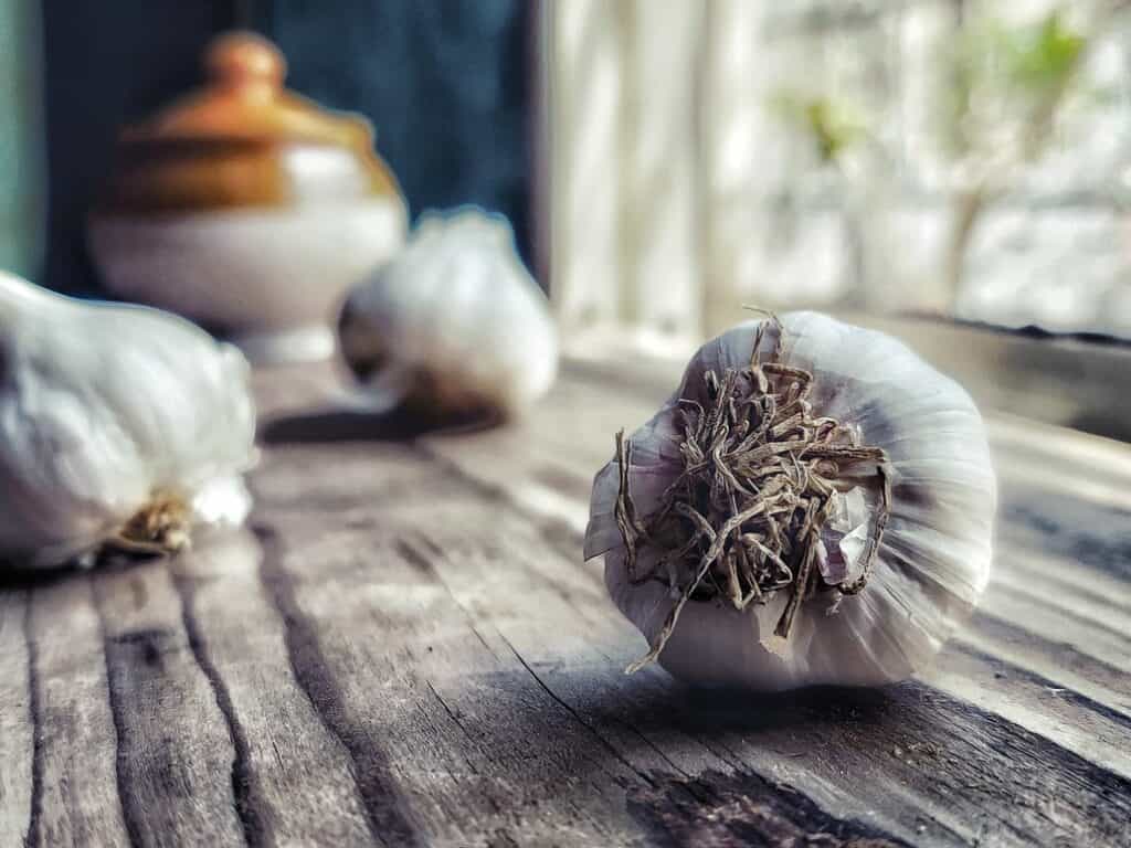 11 Amazing Health Benefits of Garlic (Backed by Science)