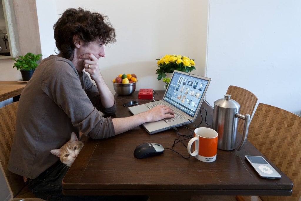 12 Essential Things You Need In Order To Work From Home Productively