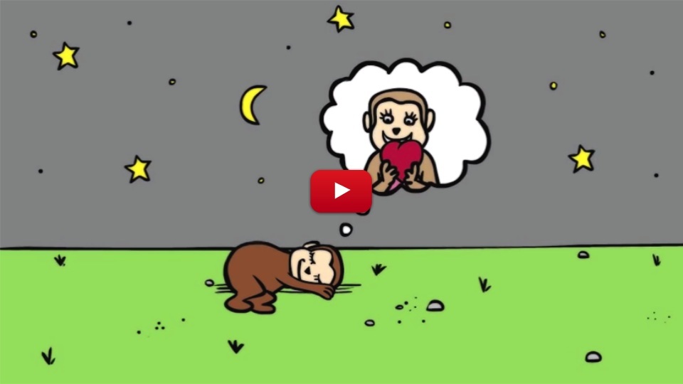 These Monkeys Will Remind You The Most Important Thing About Love, Just Watch And See