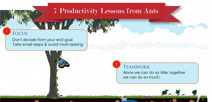 Excell-ant: 7 Productivity Lessons We Can Learn From Ants