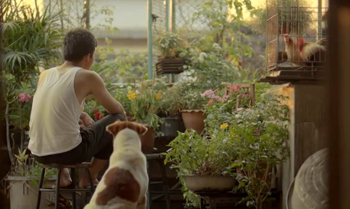 Inspiring Thai Commercial Will Encourage You To Do Something Wonderful Today