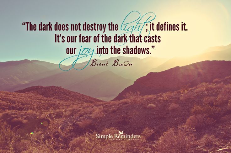 The Dark Does Not Destroy The Light; it defines it