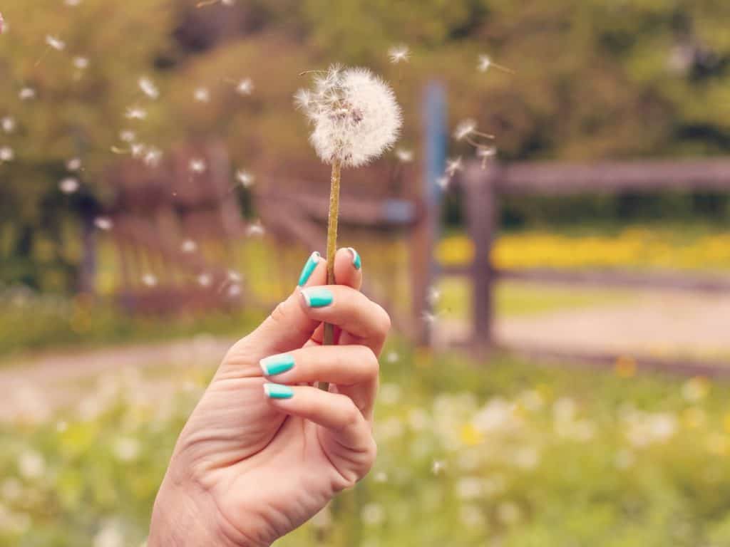 Living in the Past? 7 Ways to Let Go and Live a Happy Life