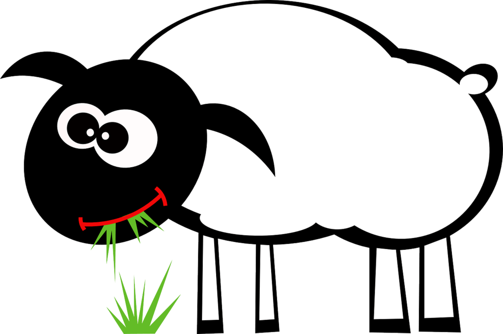 sheep-161389_1280